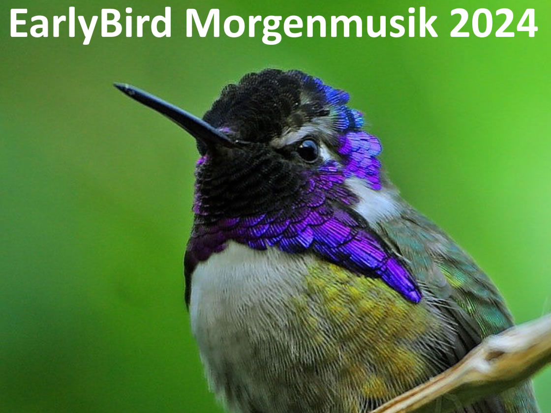 Earlybird Morgenmusik 2023
